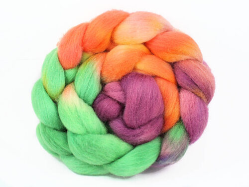 Diva Polly | Polwarth | Lilly In The Sky