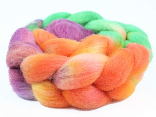 Diva Polly | Polwarth | Lilly In The Sky