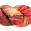 Pump Up The Jam Diva Sock Star Handgeverfd Garen